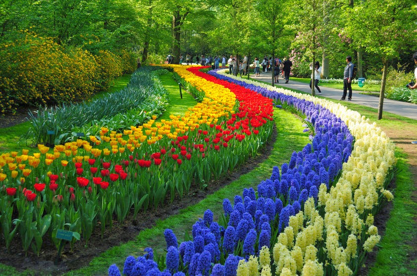 Jardim na Holanda Jardim na Holanda