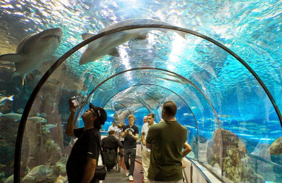 Visitantes no L’Aquarium de Barcelona Visitantes no L’Aquarium de Barcelona