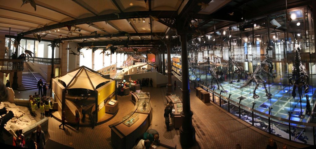 Interior do Museu de Ciências Naturais de Bruxelas Interior do Museu de Ciências Naturais de Bruxelas
