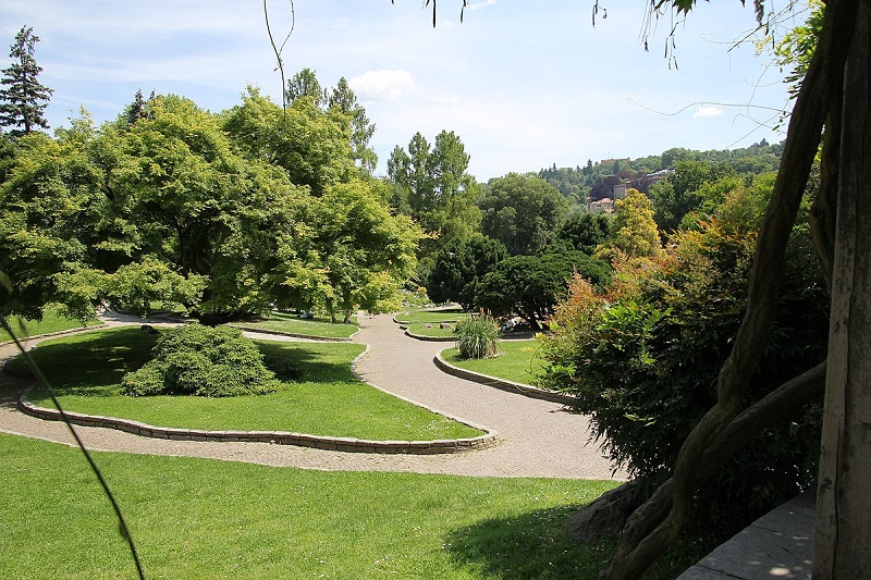 Árvores no Parco del Valentino em Turim
