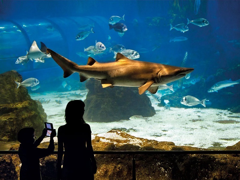 Aquàrium de Barcelona Aquàrium de Barcelona