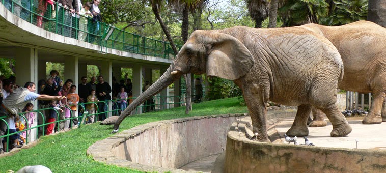 Zoo de Barcelona Zoo de Barcelona