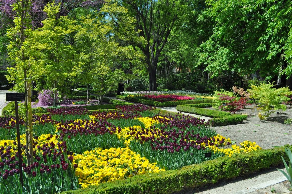 Real Jardín Botánico em Madri Real Jardín Botánico em Madri