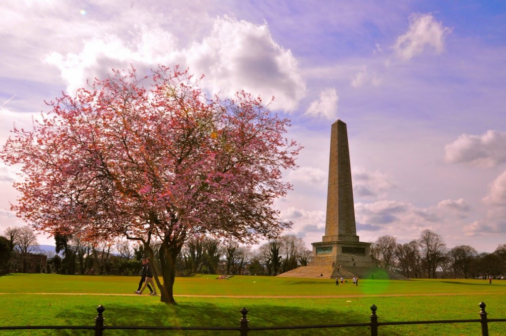Obelisco no Parque Phoenix Park em Dublin Obelisco no Parque Phoenix Park em Dublin